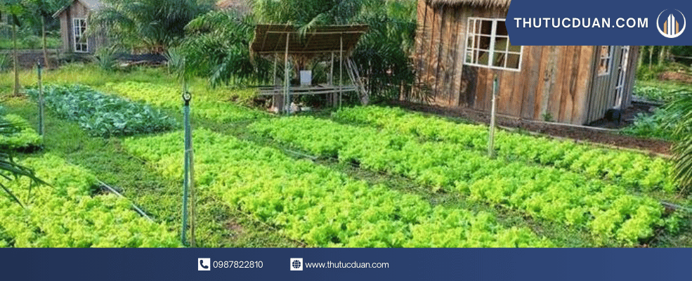 chuyển đổi đất nông nghiệp những vướng mắc thường gặp và cách tháo gỡ